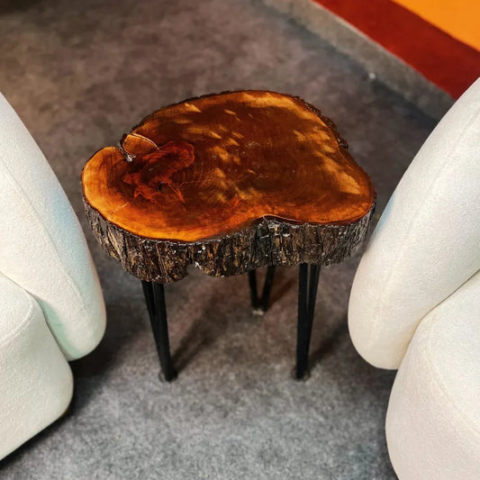 The Barkline Live Edge Coffee Table - Woodistan