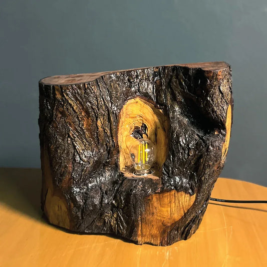 The Cavern Lamp – Handcrafted Live Edge Lamp - Woodistan