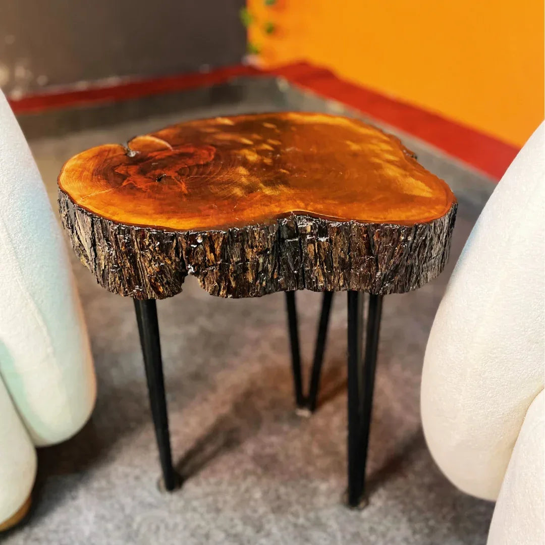 The Barkline Live Edge Coffee Table - Woodistan