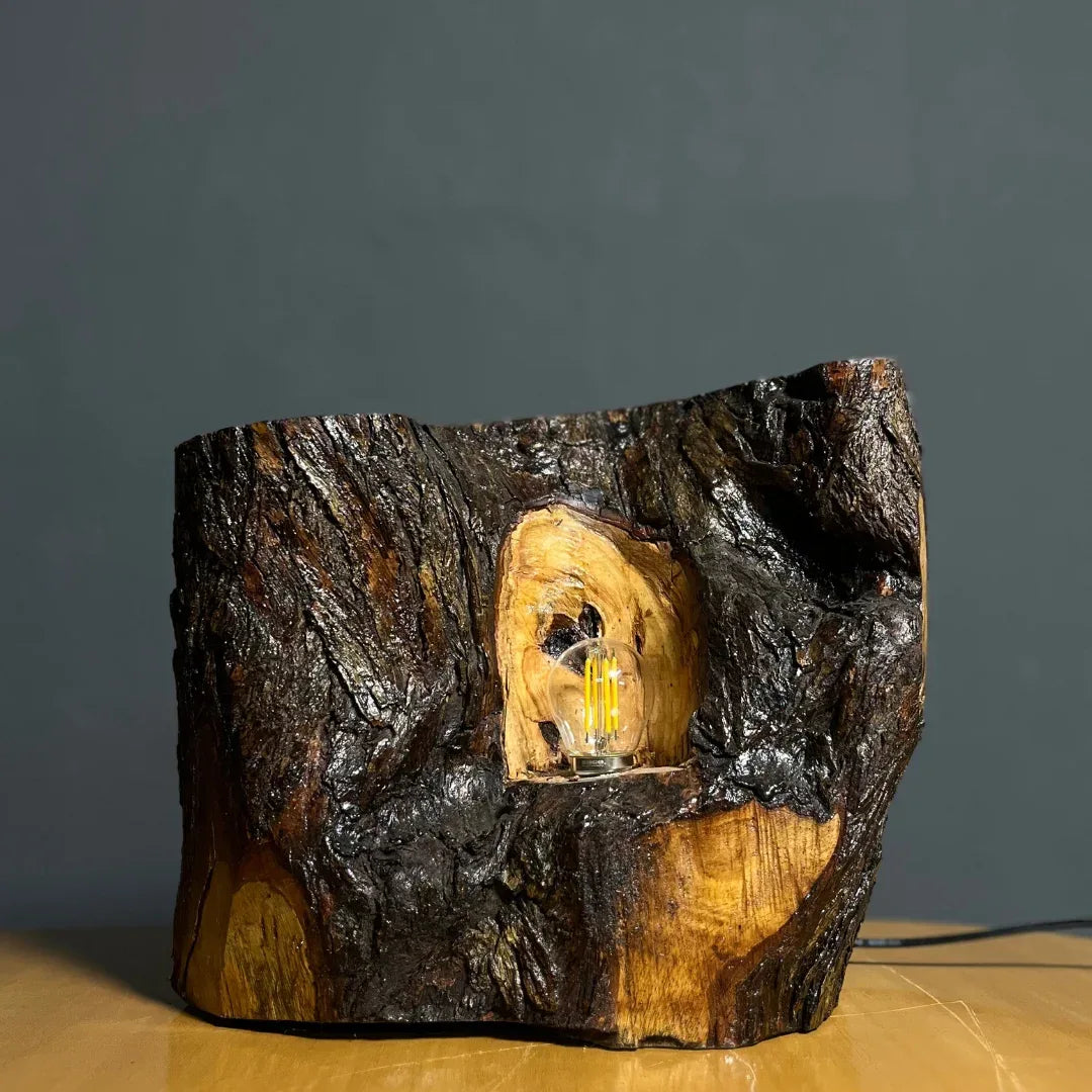 The Cavern Lamp – Handcrafted Live Edge Lamp - Woodistan