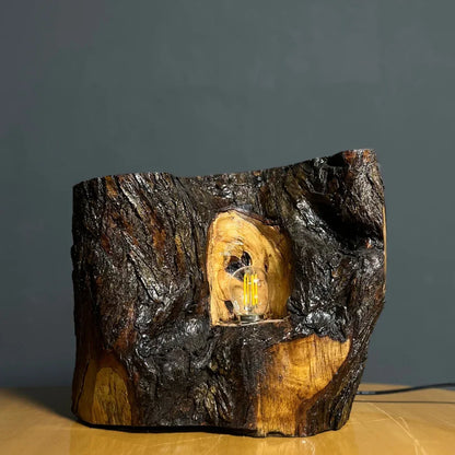 The Cavern Lamp – Handcrafted Live Edge Lamp - Woodistan