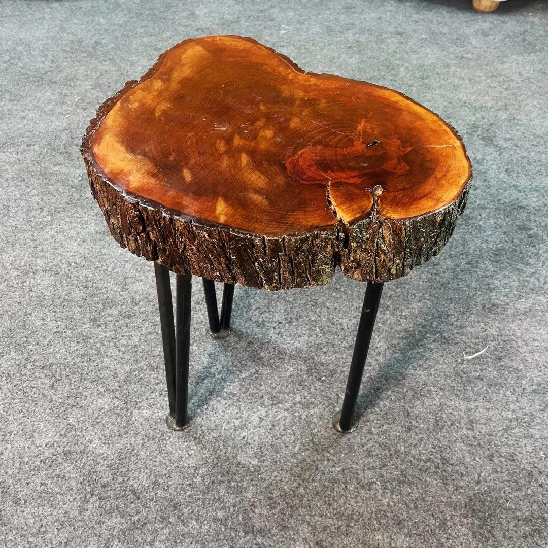 The Barkline Live Edge Coffee Table - Woodistan