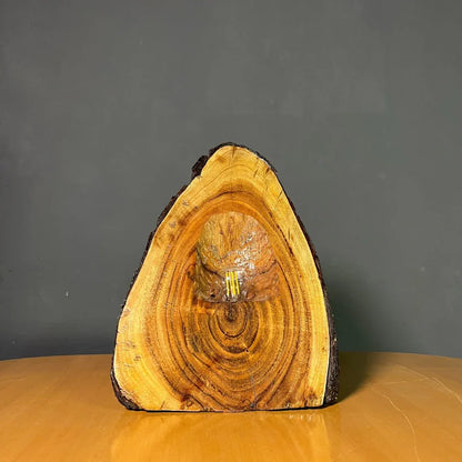 The Summit Lamp – Handcrafted Live Edge Lamp - Woodistan